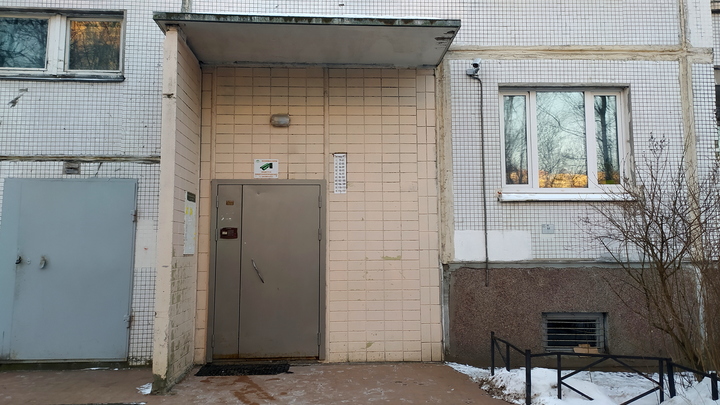 Кусачих агрессоров в Петербурге всё больше: в этот раз пострадал нос председательницы ТСЖ
