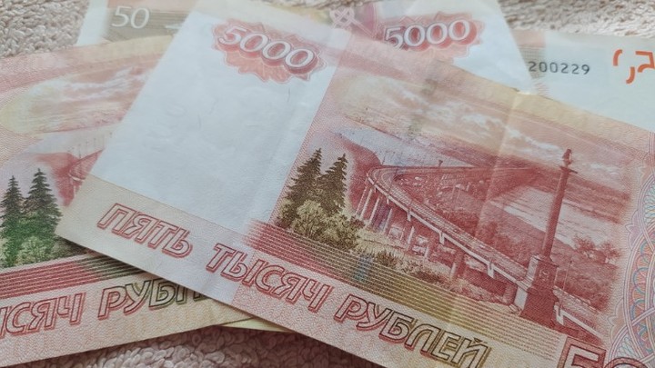 Новые правила: Судебные приставы в России будут взыскивать долги в автоматическом режиме