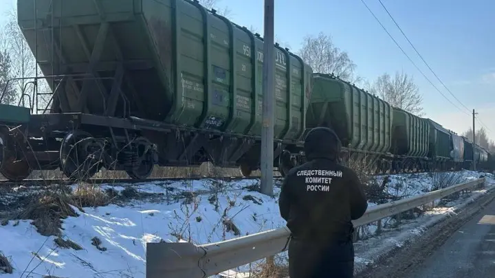 Два вагона грузового поезда сошли с рельсов в Подмосковье