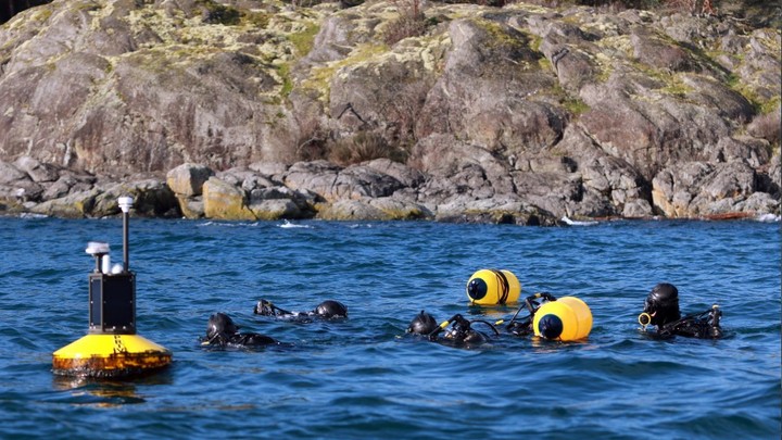 Наплевали на легализацию? Западный спецназ уже в Незалежной - FT