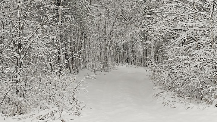 Под Чикоем выпали 20-сантиметровые сугробы. Автомобилисты в шоке
