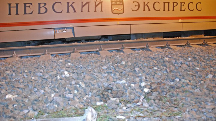 Две столицы снова соединит Невский экспресс: в РЖД сообщили дату первого рейса