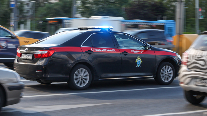 У растоптавшего крест блогера из Дагестана нашли в телефоне детскую порнографию