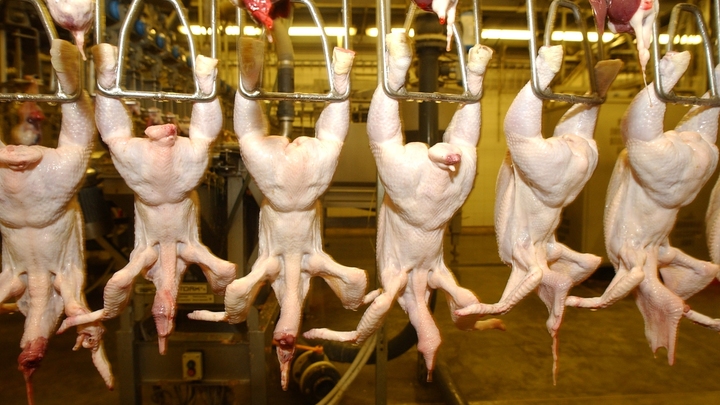 Бухгалтер владимирской птицефабрики приписала себе в зарплату 5 миллионов рублей