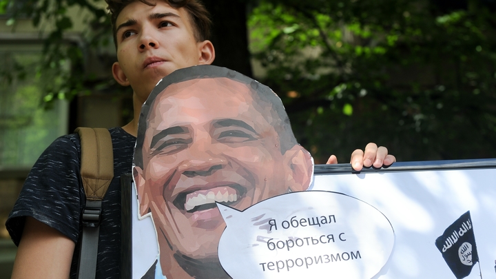 «Я с носками не могу справиться»: заявления политиков, после которых все жалели, что их выбрали