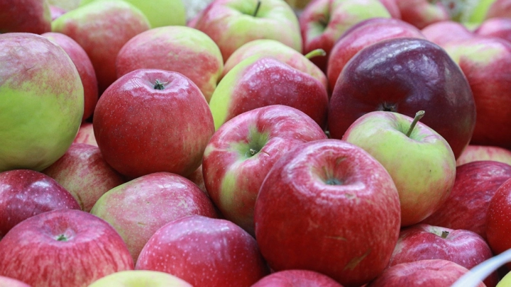 Картофель, морковь и яблоки повезут в Россию без пошлин: За полгода на прилавках окажется 435 тысяч тонн продукции