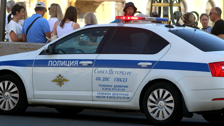 В Петербурге поймали насильника, который набросился женщину прямо возле ТЦ
