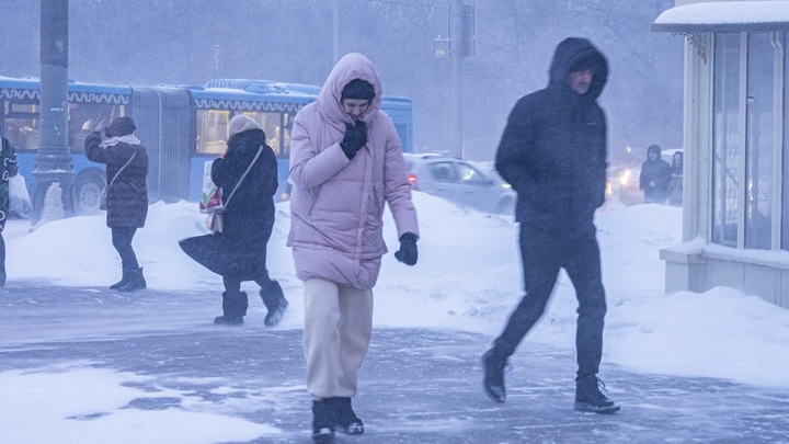 Жителей Москвы предупреждают об аномальных морозах и сильном ветре
