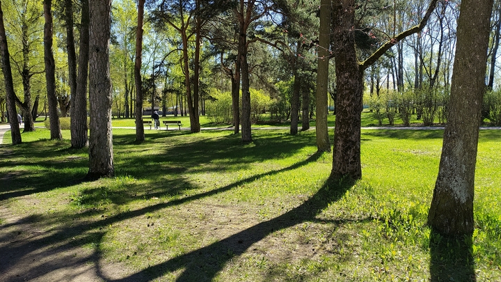 К концу недели в Прикамье потеплеет до +21 градуса