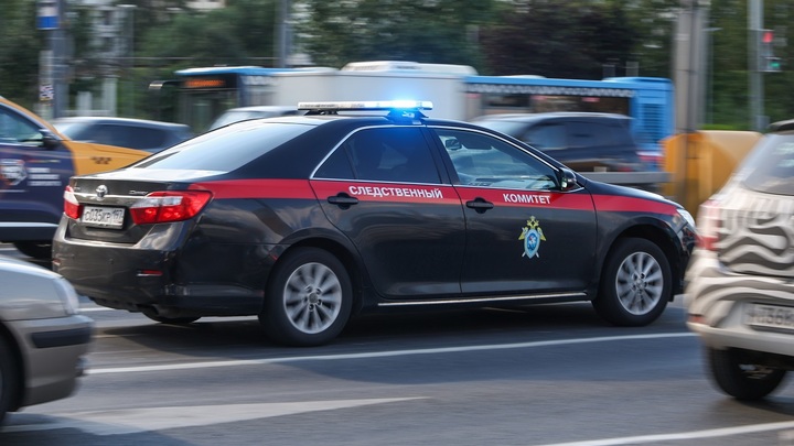 Узбека обвиняют в изнасиловании 11-летней девочки в Истре