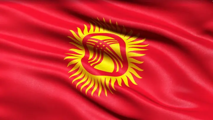 В Киргизии русофоб из КГБ просил спецназ не бить его сильно. Какие выводы сделала Россия