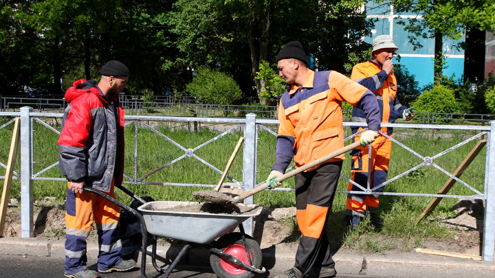 Легальность вырастет в цене: в Петербурге подорожают патенты для мигрантов