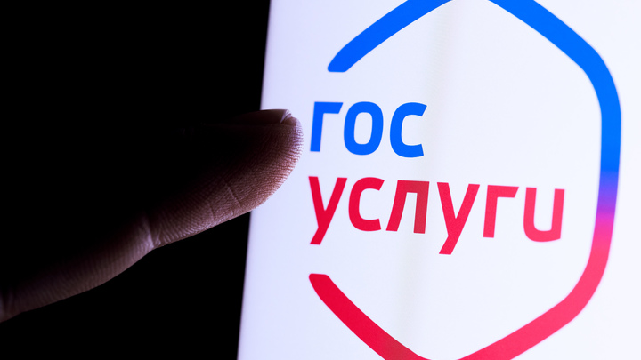 Оформление налогового вычета станет доступным на Госуслугах с 2025 года