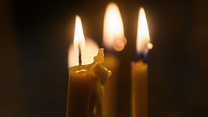 Умер русский голос Брюса Уиллиса и Губки Боб, режиссёр дубляжа Андрей Гриневич