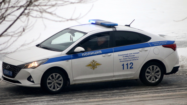 Как полиция Петербурга ловила мигрантов-похитителей с нелегалом в багажнике