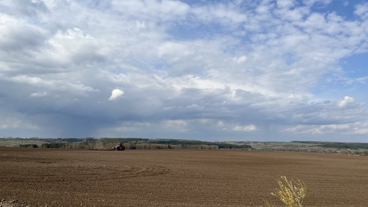 Ночные морозы ударят в Нижегородской области с 20 по 24 мая