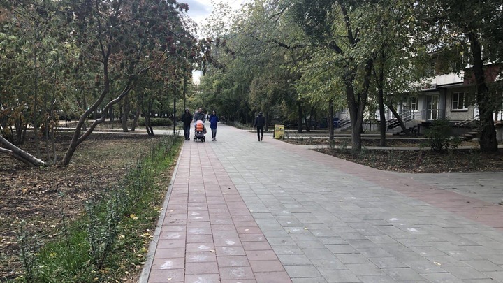 На Комсомольском проспекте в Челябинске погибли 46 деревьев — что ответили в мэрии