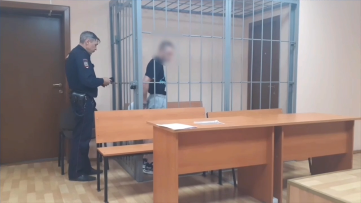 Возможных похитителей парня на улице Советской в Новосибирске отправили в СИЗО