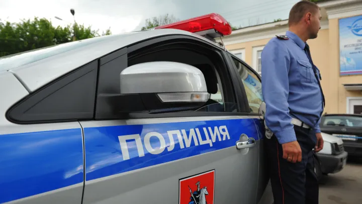 «Бил и пинал по голове»: Конфликт из-за выгула собак закончился избиением пенсионерки