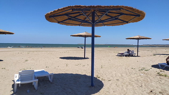 Русский лингвист сделал прорыв в расшифровке письменности острова Пасхи