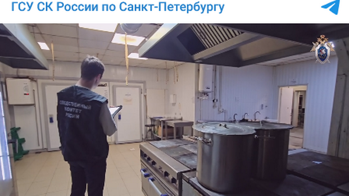После массовых отравлений на избирательных участках в Петербурге возбудили дело