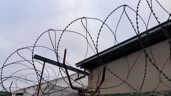 В Карелии трех сатанистов приговорили к колонии за жертвоприношение нескольких человек
