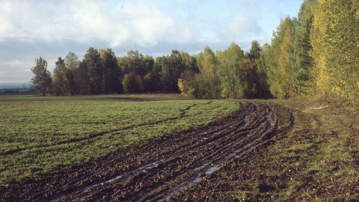 Два экскаватора утонули на стройке возле турбазы под Краснодаром