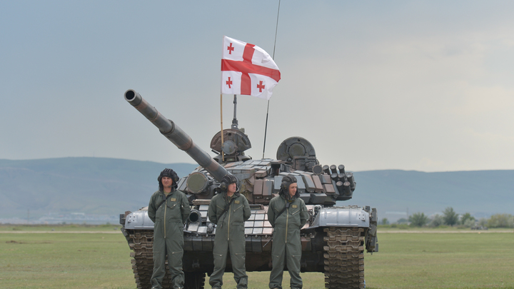 Необучаемые: Стешин одним словом оценил строительство центра НАТО в Грузии