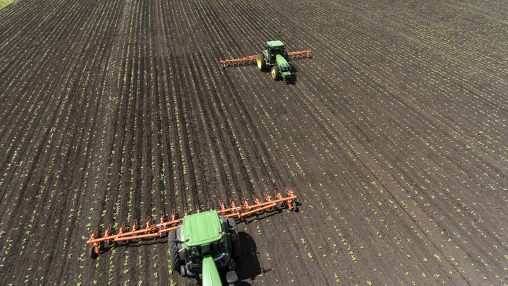 Владимирский Россельхознадзор напоминает об ответственности за неиспользование сельхозугодий