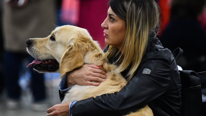 В России будут производить больше кормов для животных