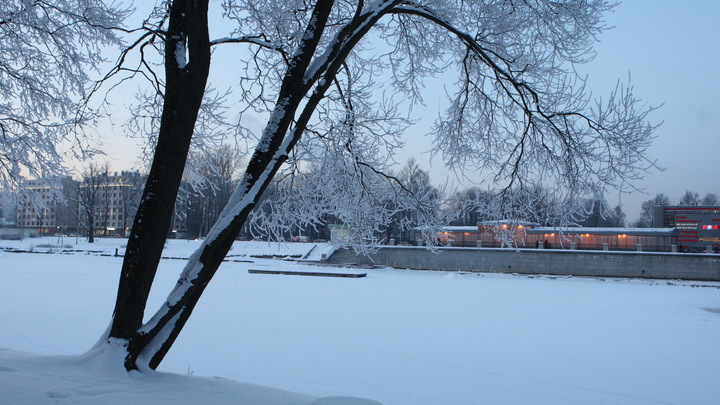 Народные приметы на 18 декабря Савву – сальника: автомобилистам нельзя ругаться