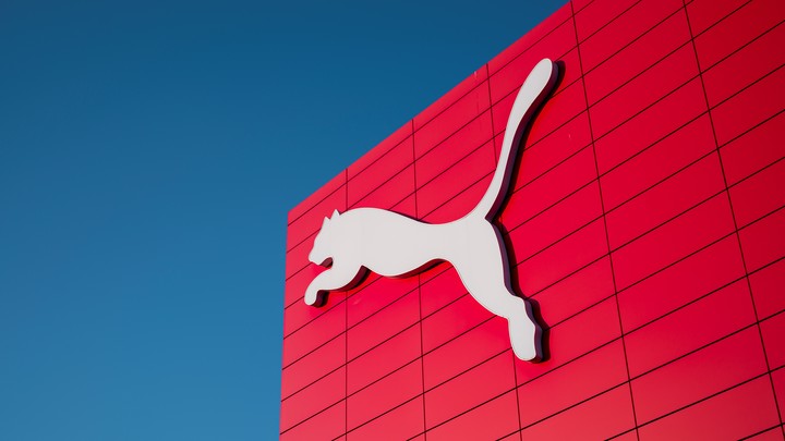 Их марка: бренд PUMA хочет засудить предпринимателя из Челябинска