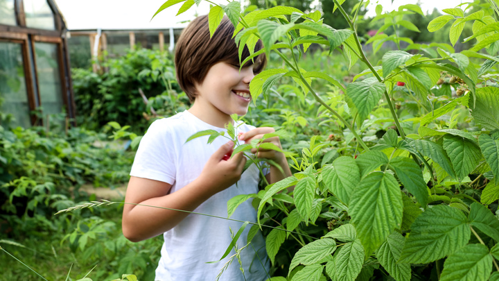 В Новосибирске представили лунный календарь садовода на октябрь 2024 года
