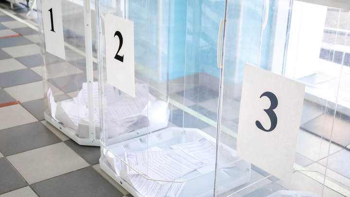 Максимальная прозрачность: Депутат оценил ход выборов в Подмосковье