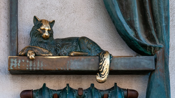 Русский народ сплотила лютая смерть рыжего кота. И знаете, это хорошо