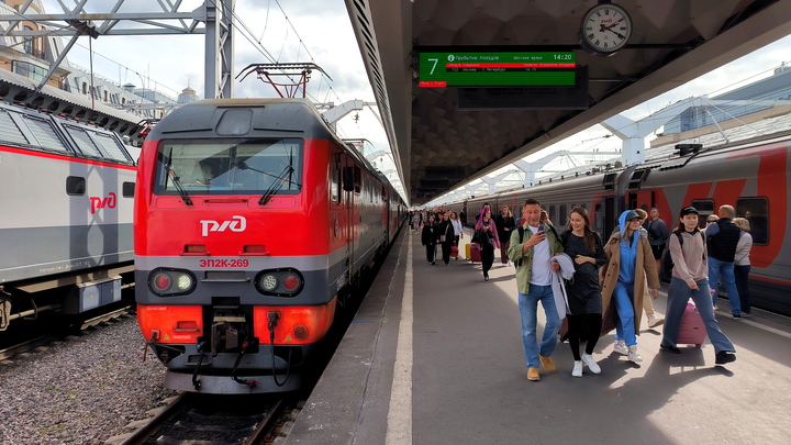 Человеческий фактор: Известна причина лобового столкновения поездов в Ульяновской области