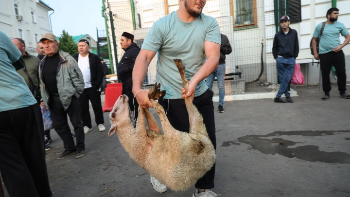 В Туве мужчина протестировал машинку для стрижки на баране в пункте выдачи маркетплейса