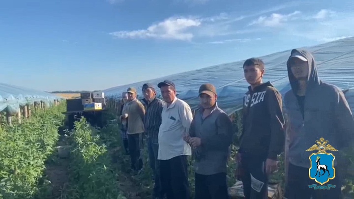 Полиция и ОМОН поймали мигрантов в теплицах под Самарой