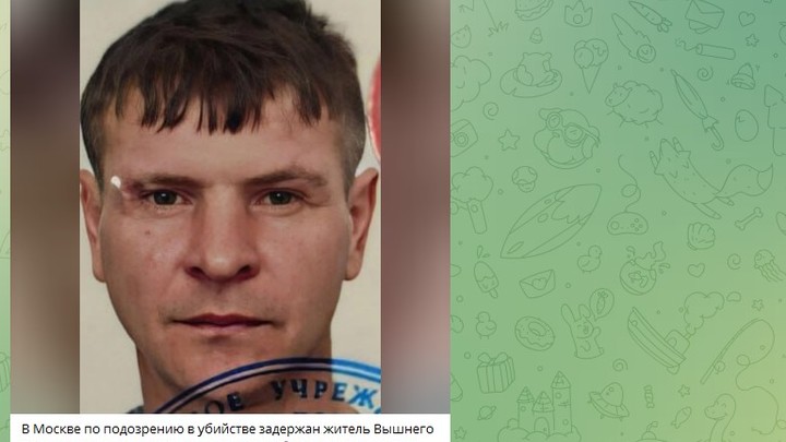 SHOT: В Тверской области волонтёры искали подозреваемого в убийстве
