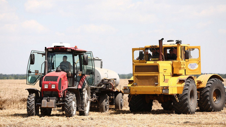Проливные дожди негативно сказались на уборке зерна на Кубани