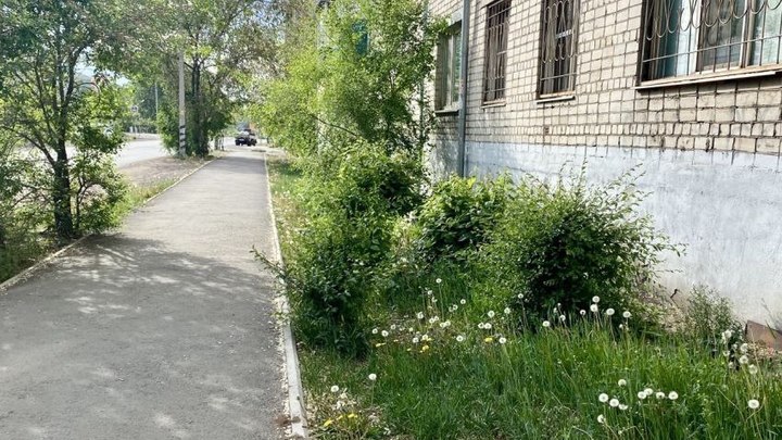 Госинспекция Забайкалья: Управляющие компании обязаны скашивать траву у дома