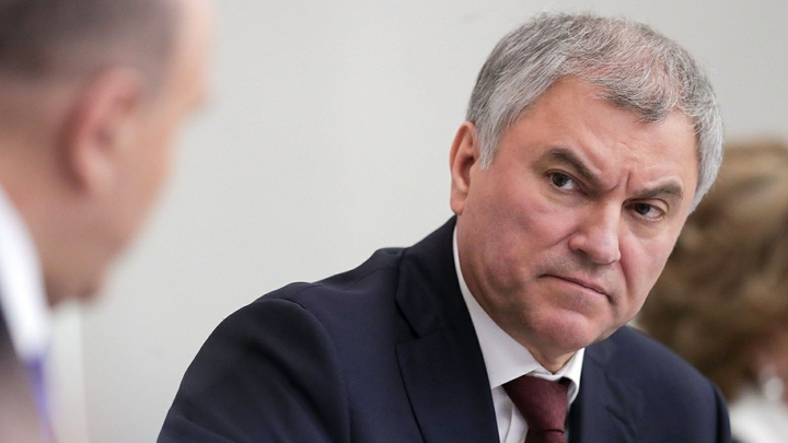 Спикер Госдумы Володин считает, что России нужен закон о противодействии МУС