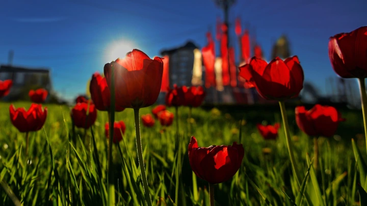 Два раза по три дня: майские праздники в 2026 году - самые короткие за восемь лет