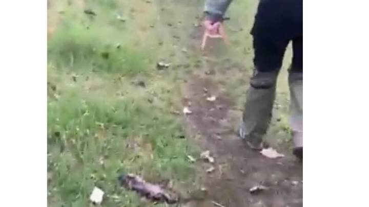 В Ростовской области сообщили о минировании сельскохозяйственных полей