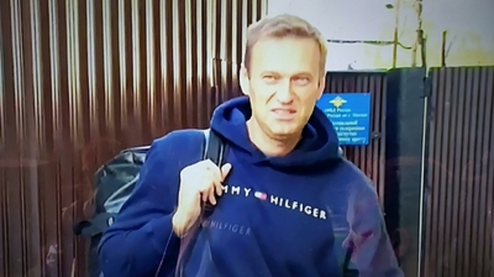 Эксперт по химоружию: Выздоровление Навального опровергает версию о Новичке