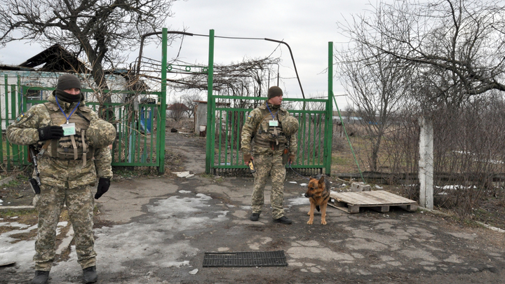 Полковник США в прямом эфире выдал тактику украинских нацистов: Именно это и происходит