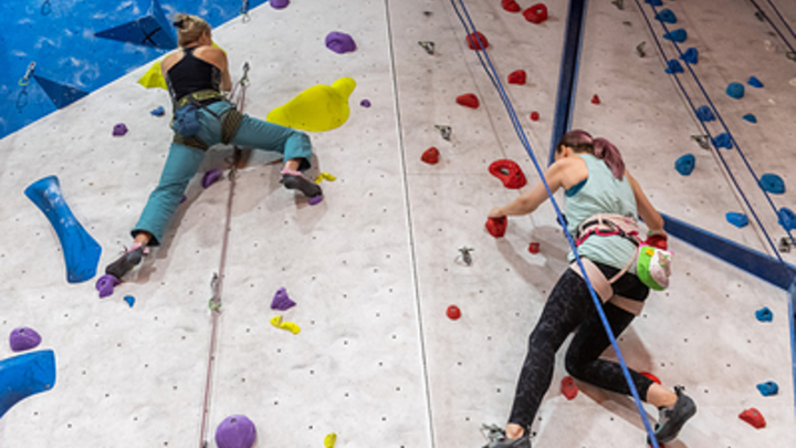 В Санкт-Петербурге появится Музей спорта. Названа дата открытия