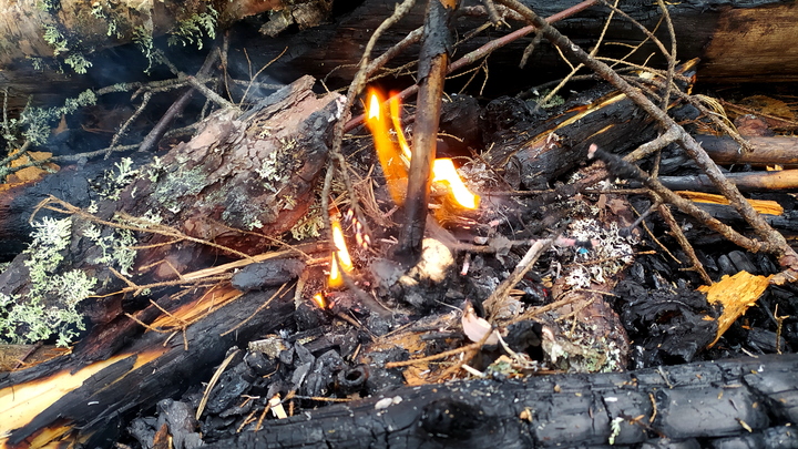 На Среднем Урале потушены еще 11 природных пожаров