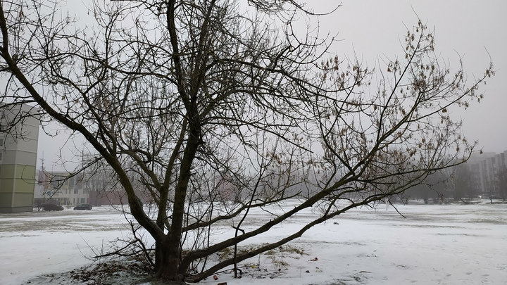 До минус 20 при ураганном ветре: экстренные и штормовые предупреждения на Кубани продлены