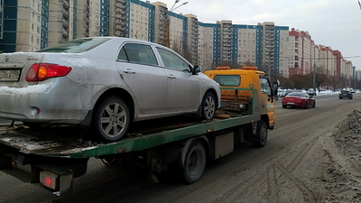 В Новосибирске на штрафстоянку забрали автомобиль с закрытой внутри собакой